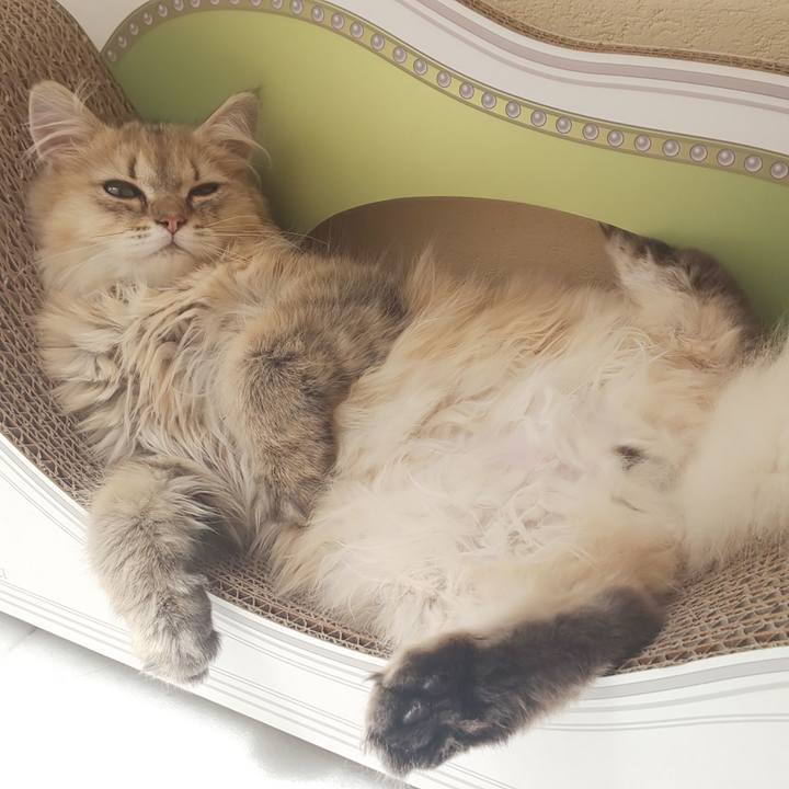 7ae10a77 e048 4088 8985 222c3f49ecdb 1562129579971