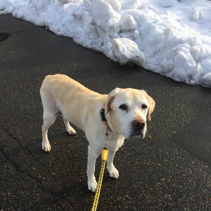 7ae161e5 d22e 446e 936d f0afbd5583e7 1516261006387