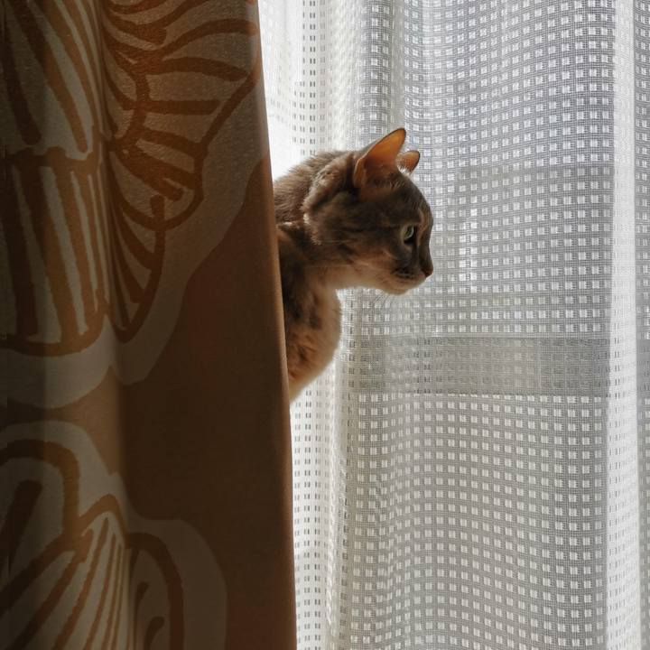 7ae191c7 2a7d 4a3f 82a0 5c77c6306f1e 1679927195364