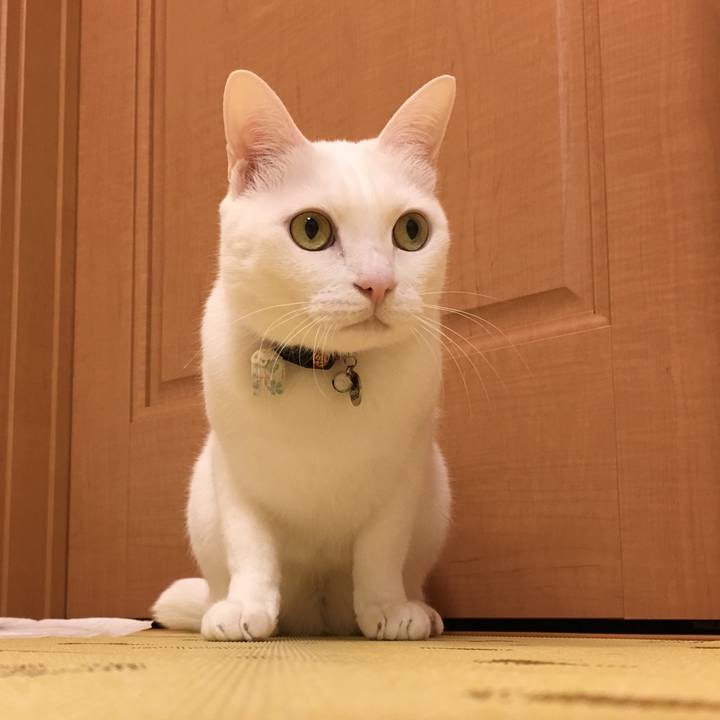 7ae193ea ffd5 40d2 bdf5 3a8da84203c1 1520760794331