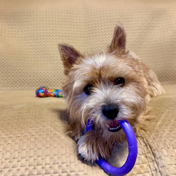 7ae1b20d f780 4da6 aa45 5c201d7831cb 1758721409054