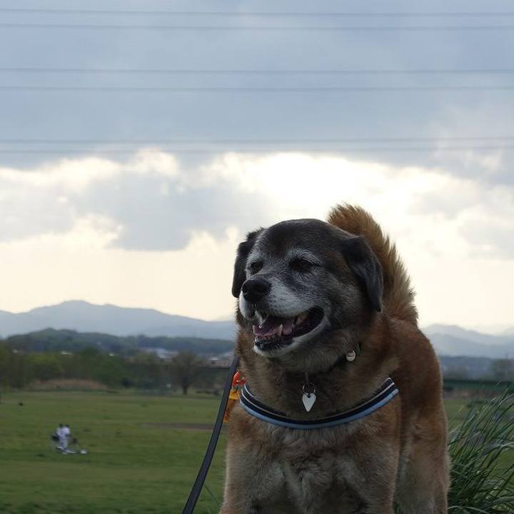 7ae1e6d0 77ed 4e2d b665 030f0dab0789 1523192532450