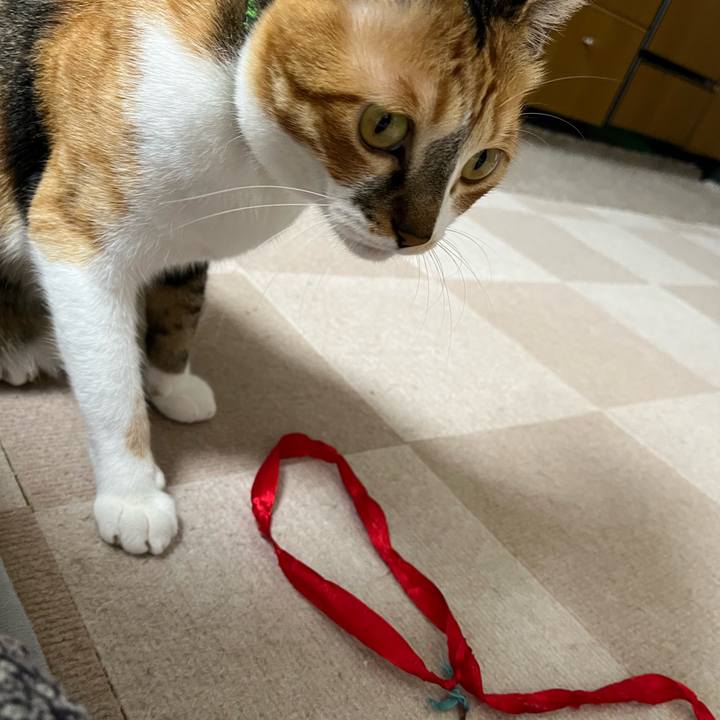 7ae2265f 5919 45db 9f02 b1c727abe5c9 1750285184111