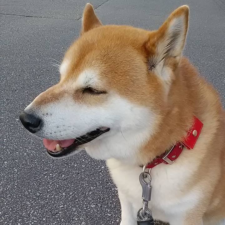 7ae22c3d 5bf2 442b a59a 4a39768eabcf 1652517004490