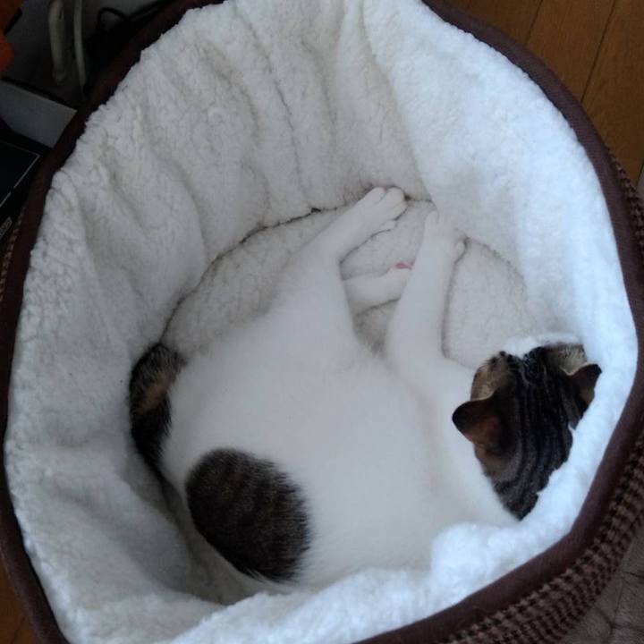 7ae27ce5 274c 4360 9daa 77bbe631df59 1700912007747