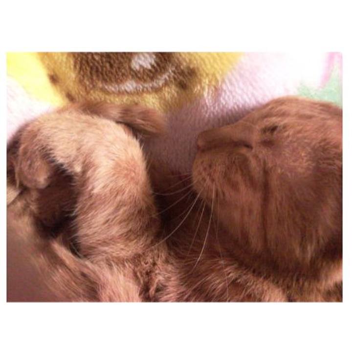 7ae29422 9096 403c 898d 348fc6909e10 1677625600046