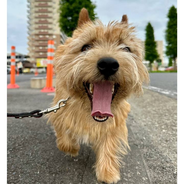 7ae2b1a5 ce46 4f1c 8723 89cc5fdb695e 1747341847847