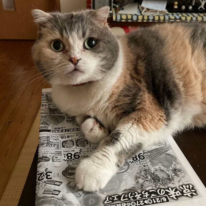 7ae2e522 24c8 45af b177 8a386b11da02 1687601229663