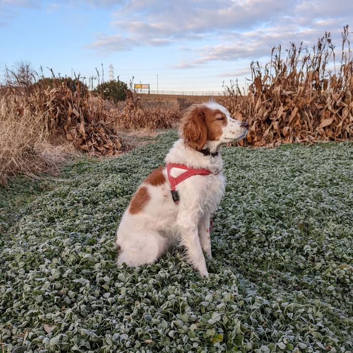 7ae2f25a 3732 4f86 9fb3 883fbaae6049 1641599734808