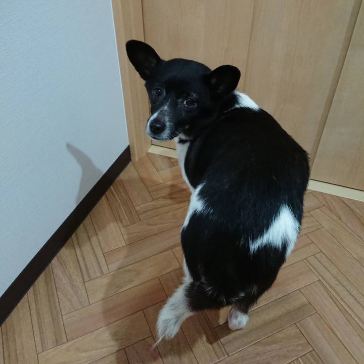 7ae33dc3 ad9f 4f5a 8a01 9be56eb4ed9f 1556946943629