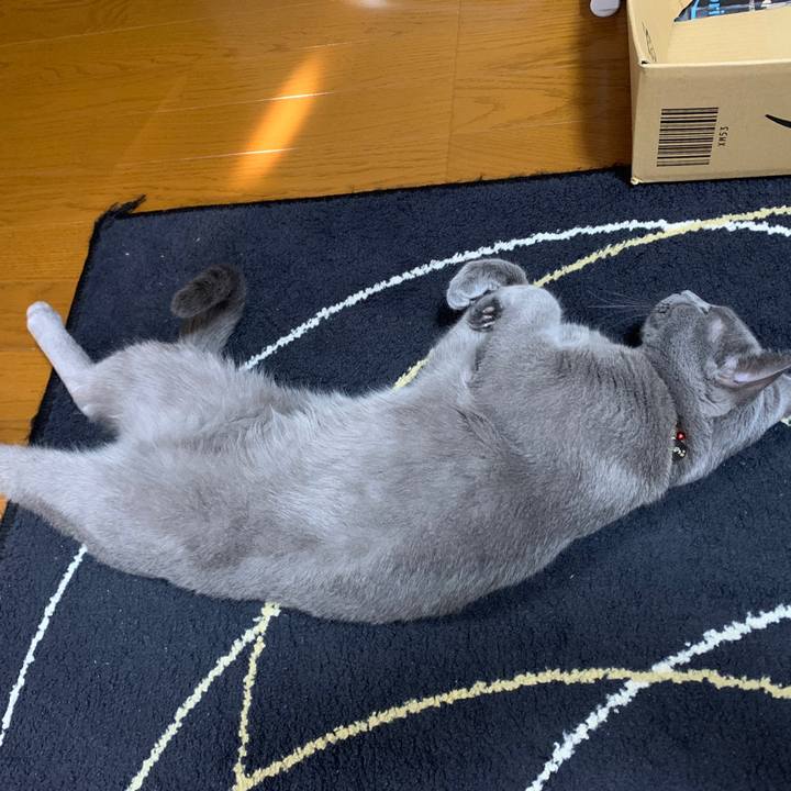 7ae34cb9 7d46 46e4 a637 c35ac9144f3b 1636695732692