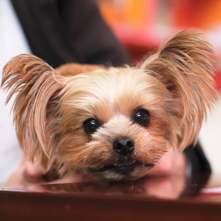 7ae353b7 4681 41c8 bdc6 84bd30d70fff 1578367023387