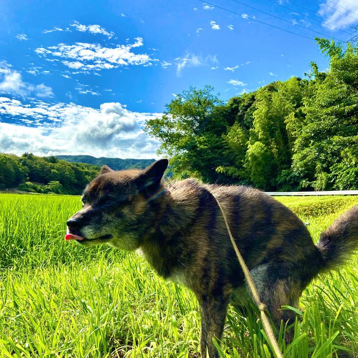 7ae356e8 1103 4ae8 98eb 0cd278002a39 1594869161531