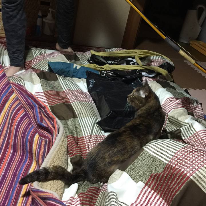 7ae35ba5 45fc 4f1b 8b22 97d73a2f5ad5 1549028004105