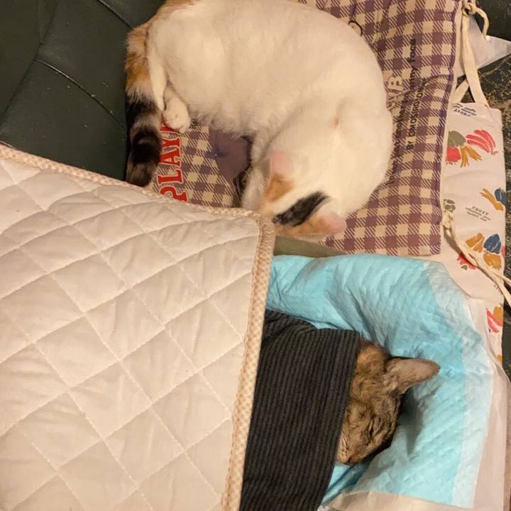 7ae377da 9be1 4cf6 bcff 2b59c2e0a393 1610882030657