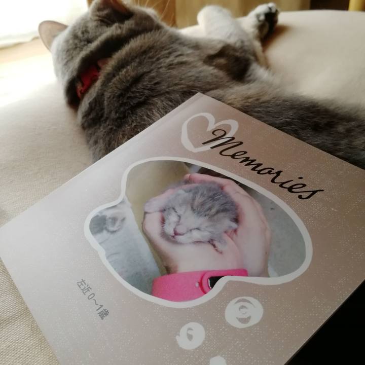 7ae3944e 195b 4690 b2fe 3a5d1146e80d 1527405093058