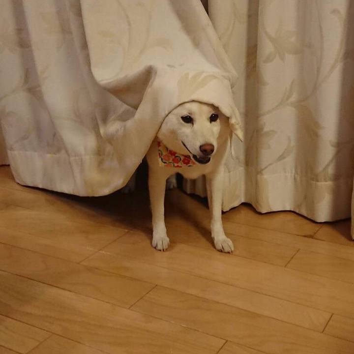 7ae3955c 171b 4598 8c3c cf530fcc8d53 1558957537798