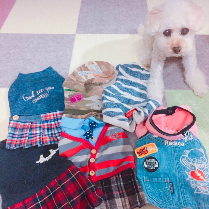 7ae3def6 547a 4087 86fa df16d455c91f 1539169757197