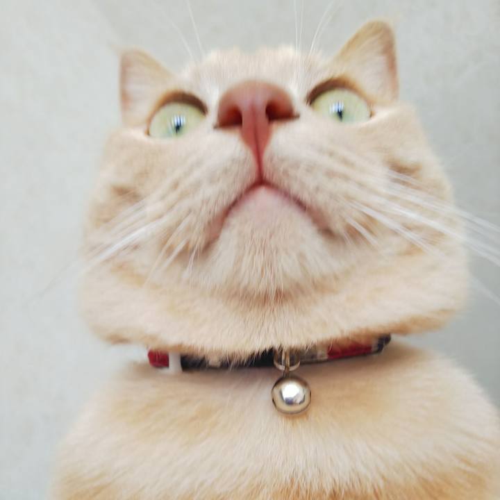 7ae40ee9 7494 4ab5 8e95 81de21f4b04b 1598075532126