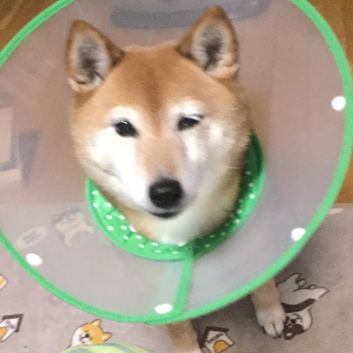 7ae41590 035b 4bf5 933b 6a95eedbbfed 1613359928969