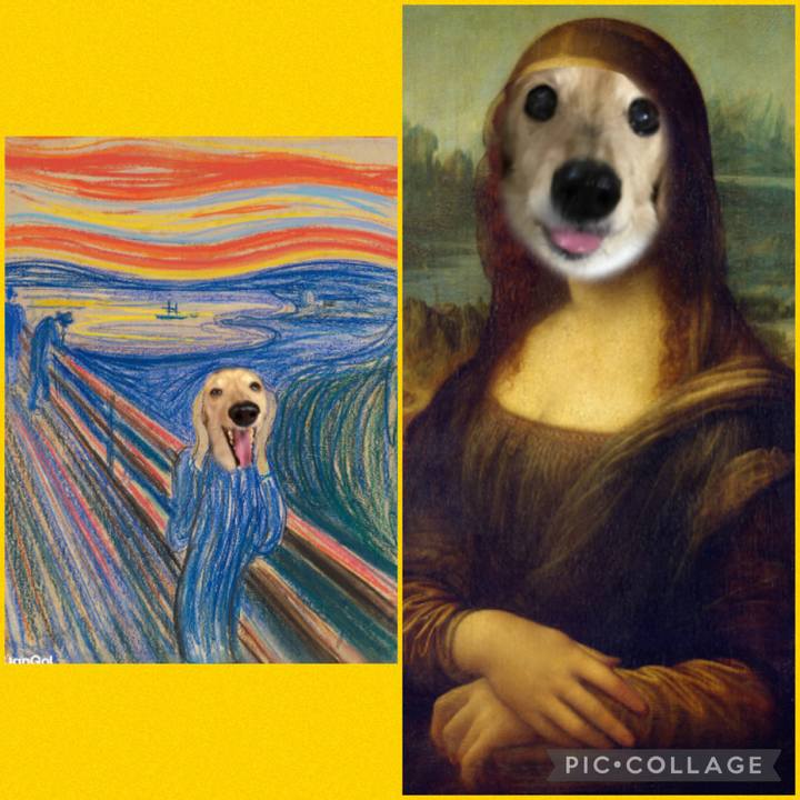 7ae4359a 3039 40a8 8fc7 715252ddbd0f 1636896023249