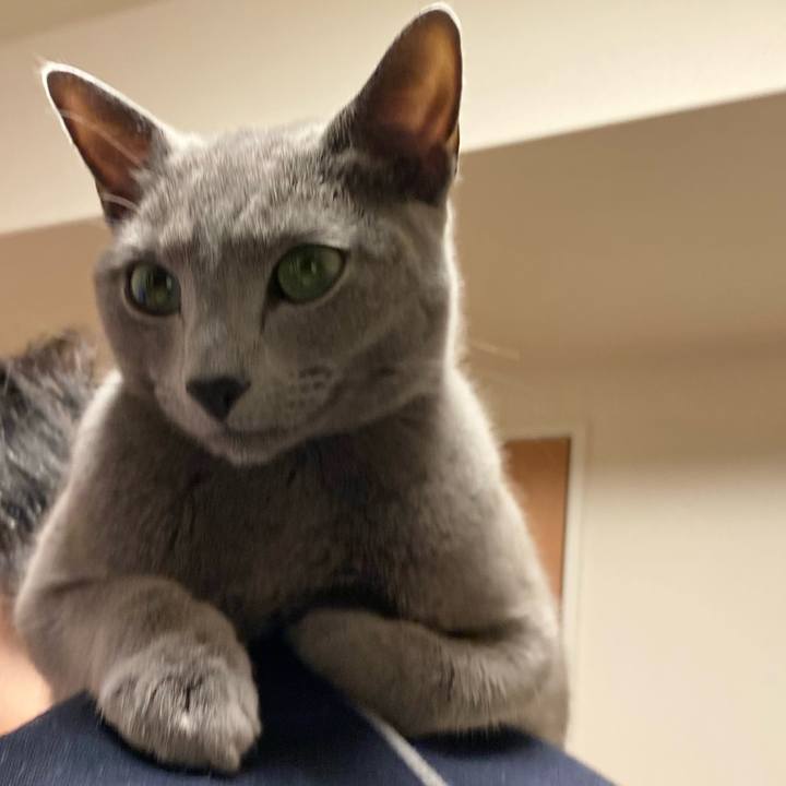 7ae45ec6 89e3 49bf ba85 b28504cbe4a1 1641788826145