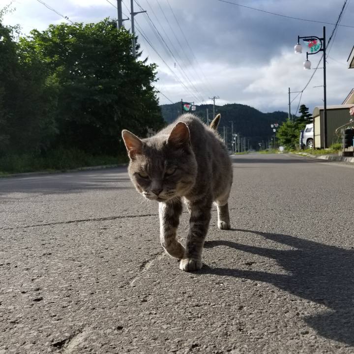 7ae46f39 3623 4d24 9f87 be3d91c9f051 1536155094577