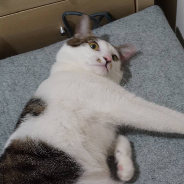 7ae4d5b6 6490 45f3 8ae3 fa1e5117a7f0 1520221334822