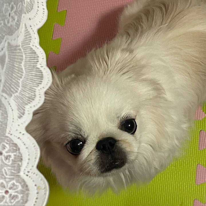 7ae4ece8 e9d1 438d af5e 12471ee0c9b4 1646009881045