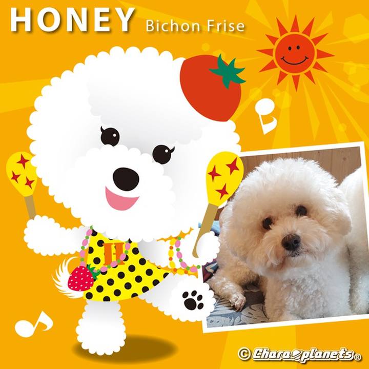 7ae50997 a57d 43a7 90bd eb31246e2e53 1560475009437