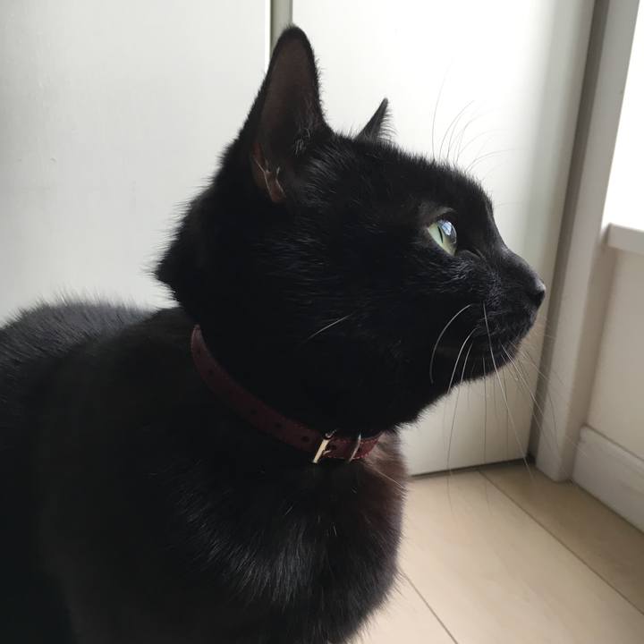 7ae53ec1 f231 45a0 b010 5cb9ae56d1b5 1551394042850