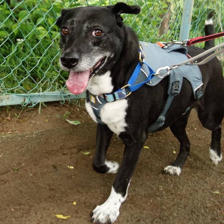 7ae55451 5d97 4384 8b3c 87949404a362 1747354741103