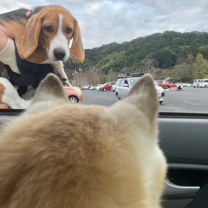 7ae5acc5 9b6f 4397 b052 6ce83bc75bb7 1763969616144