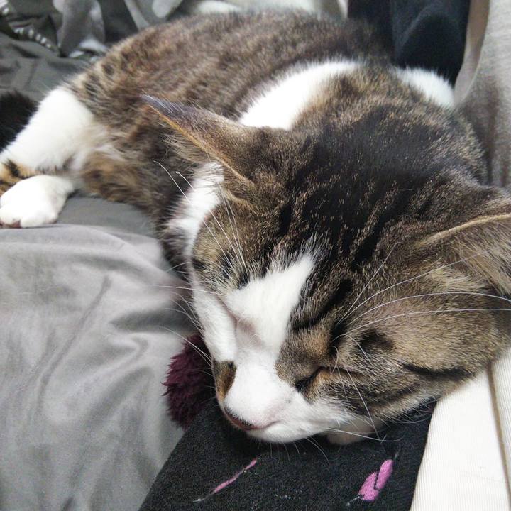 7ae5b501 f5ca 458e a71b 3e92f6d5af42 1646113881379