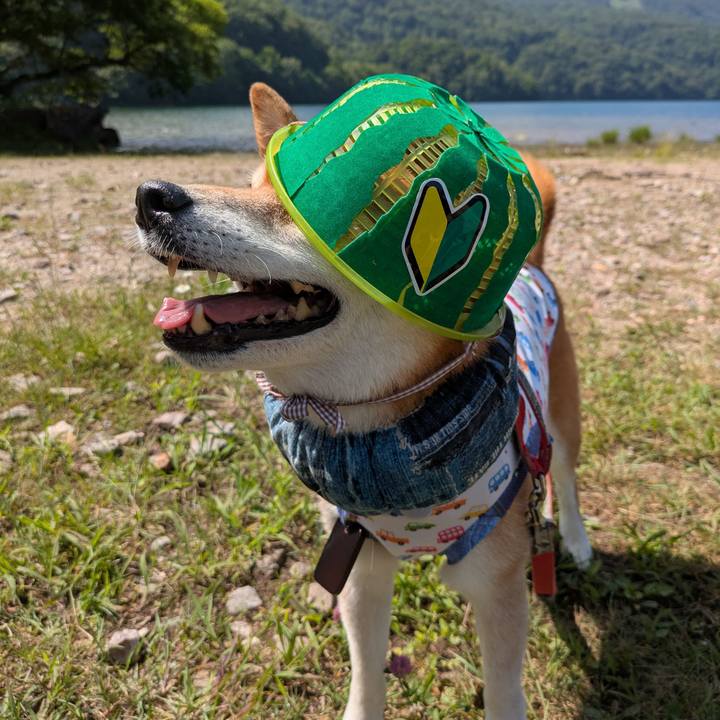 7ae5ba79 e53d 428d b9b8 6113f8f7b249 1752064584309