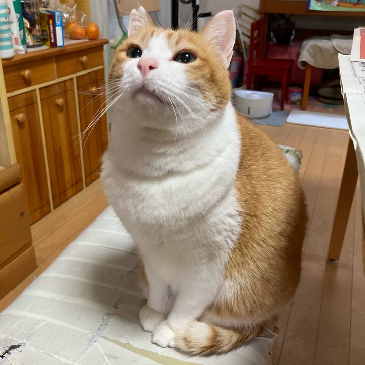 7ae5e944 7351 4e85 9aa8 9b191f507574 1771246026813