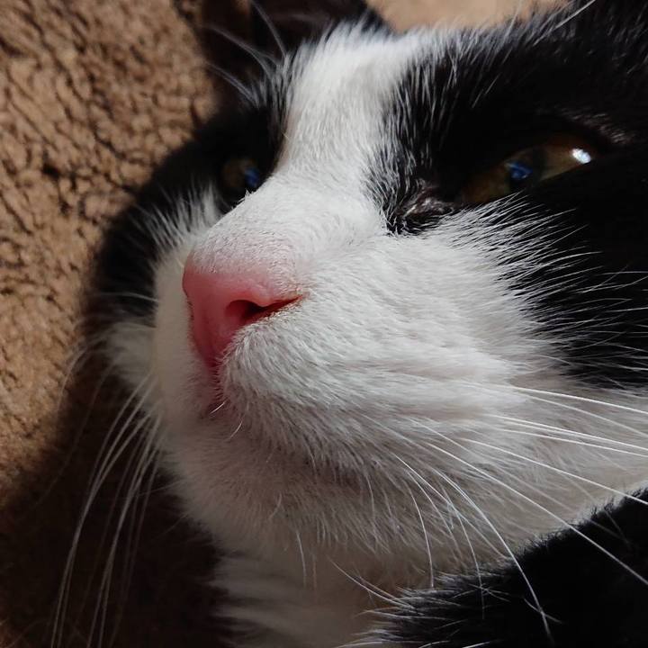 7ae5f35c 91e7 4fe7 8b09 cd52420bee73 1589113226871