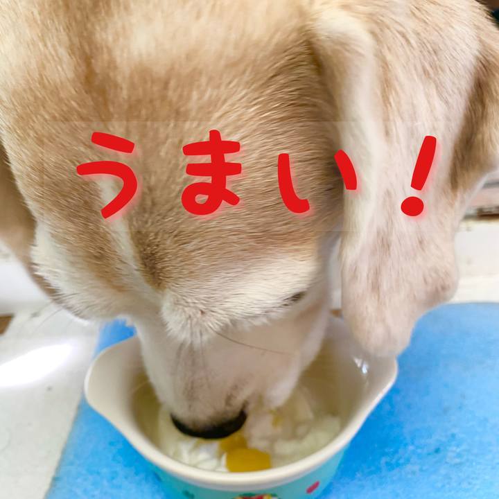 7ae5f875 d757 4738 bceb eeab4df39004 1664862170443