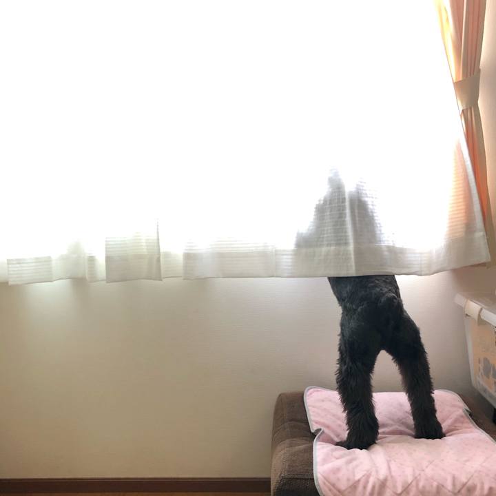 7ae66f2d 16d2 4070 85b5 7f6d6c83031e 1570575504313