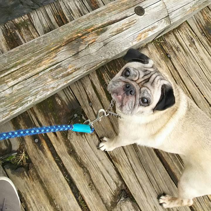 7ae6724f 5ab5 479d a7ef fe8bf8c3b0a0 1540297386212