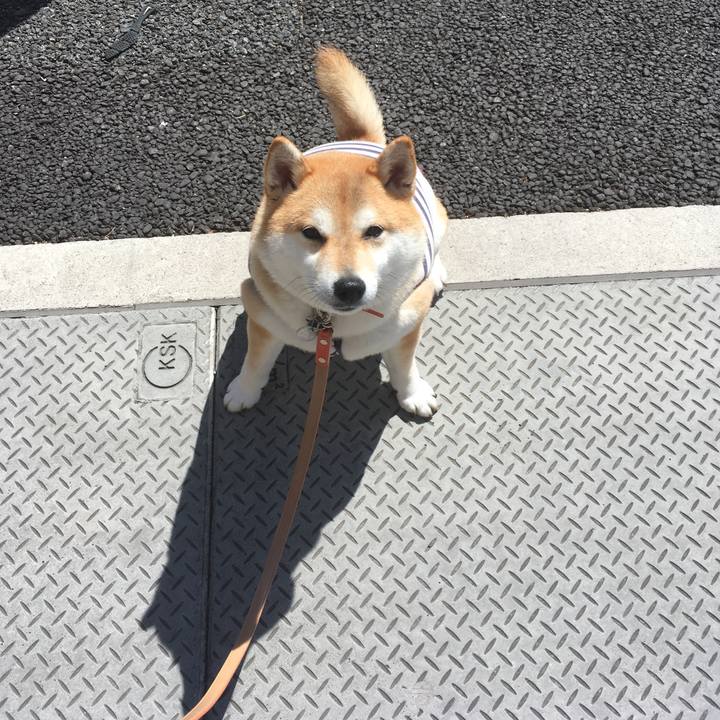 7ae682fb 1a84 462c 806f a203fa95473d 1552876903971