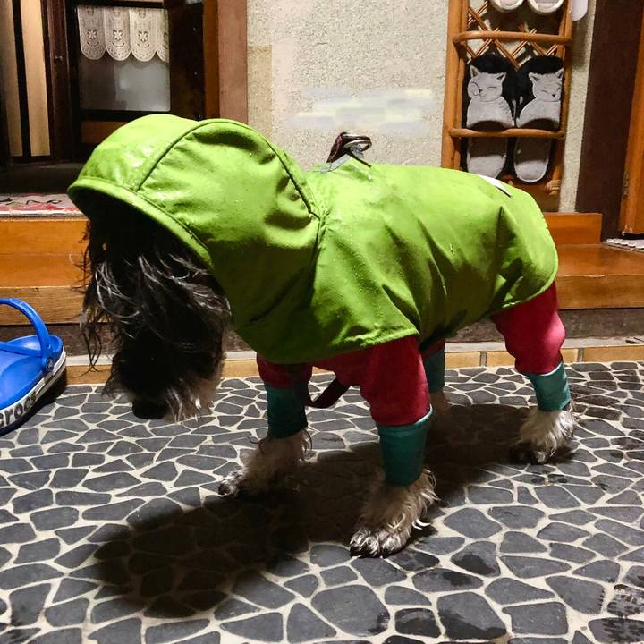 7ae6a6a9 7c11 4022 90c7 e4aca5362a95 1703510950972