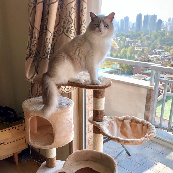 7ae6b653 1cfa 4bf5 b899 b53365b8877a 1571035545690