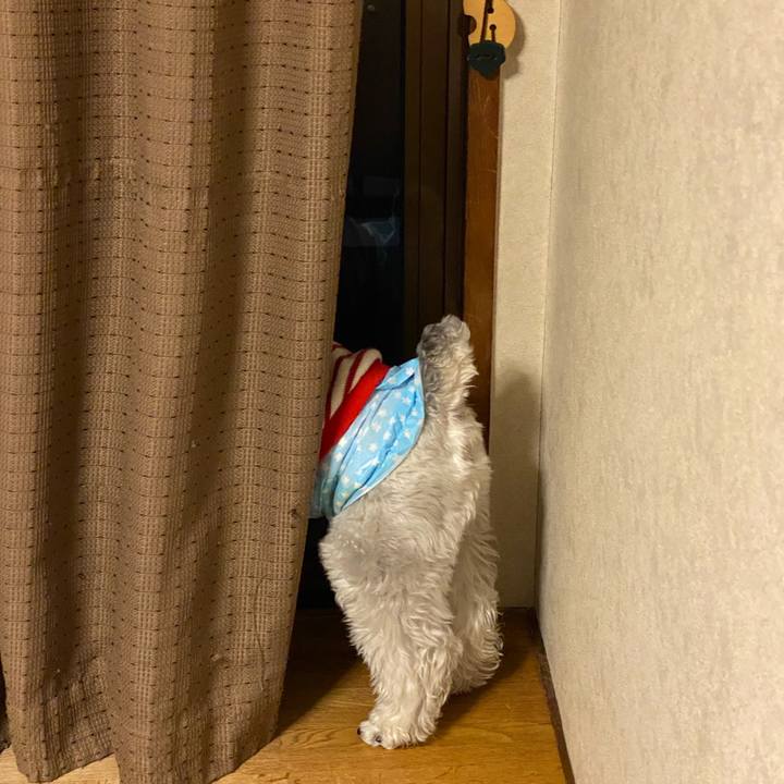 7ae6c06d bbcd 4d49 9d6c 0c3c3f06292c 1640363798923