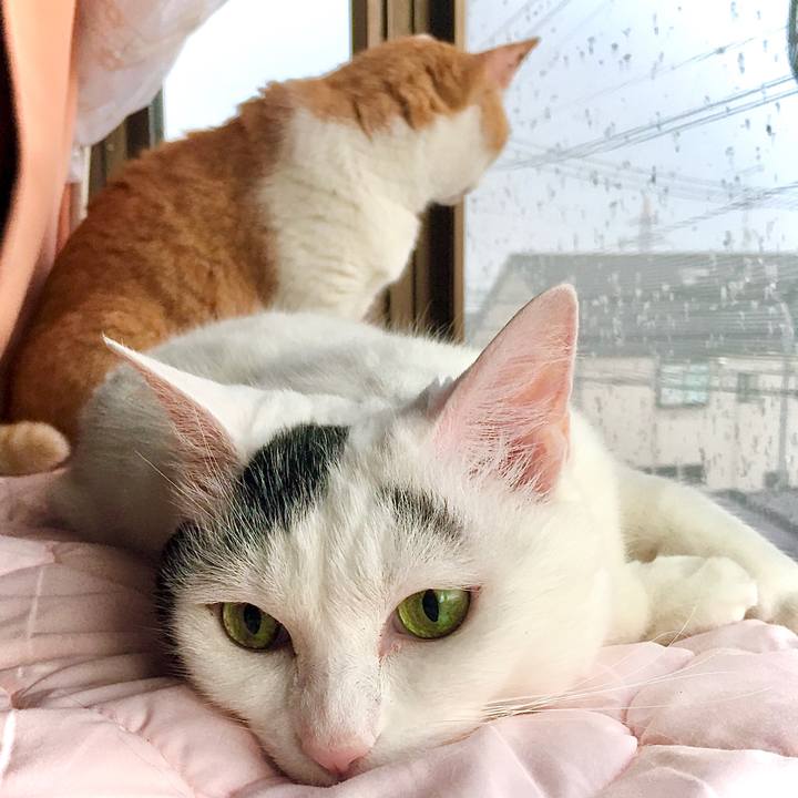 7ae6c752 7d61 4c25 9a8a 72f680be98b2 1594622737841