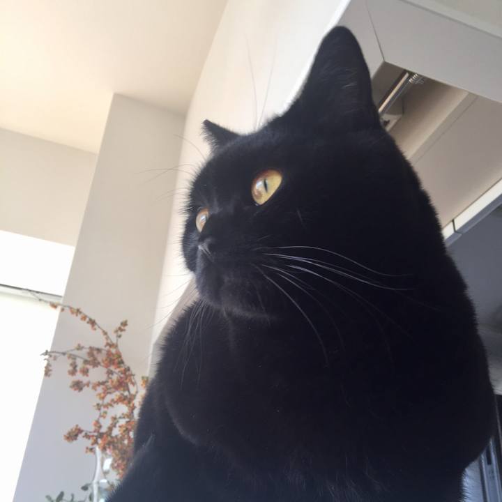 7ae701f2 837b 4346 8bdd 24f4f78d59ac 1543280505056