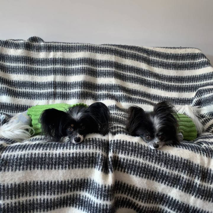 7ae751c0 9f73 4fa7 a76b 3336740f7283 1614390158783