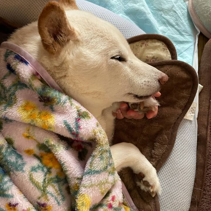 7ae76b9c 22b7 4c28 ae92 e99bc8881eed 1639310052594