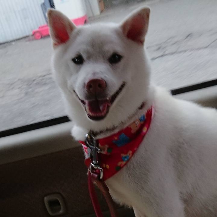 7ae779c3 9a7d 4615 ad9e 5b5911045a24 1537937370406