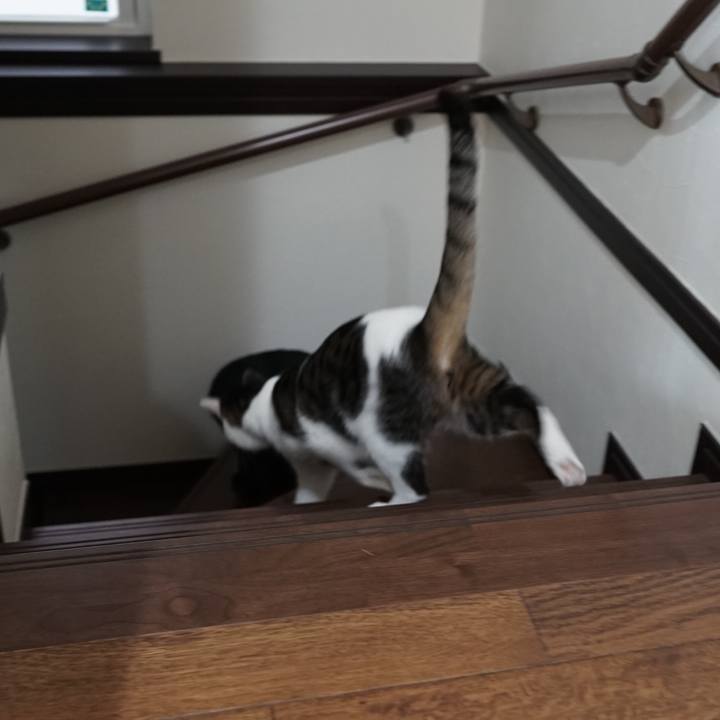 7ae7b1d3 a36c 4a48 bb70 8ce611c9c5ca 1564442818881